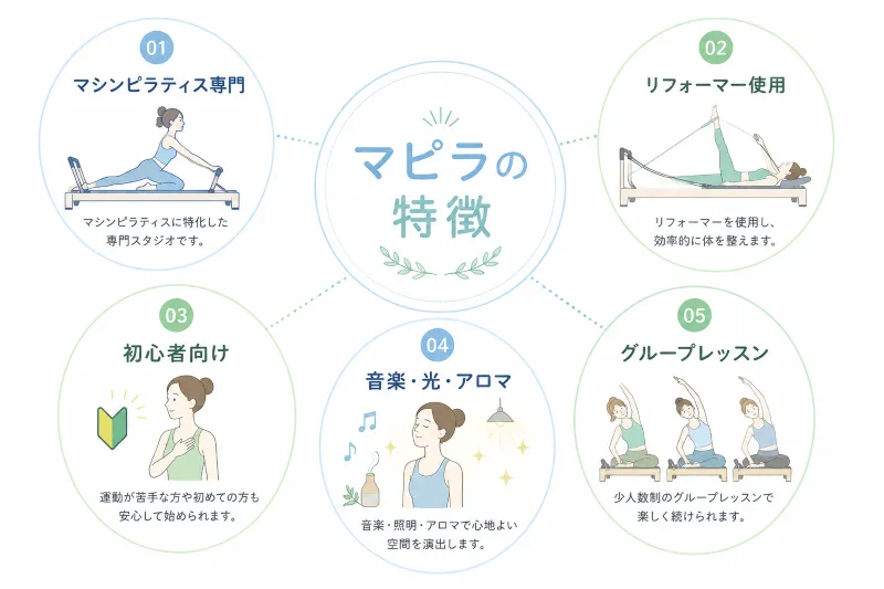 マピラの特徴まとめ